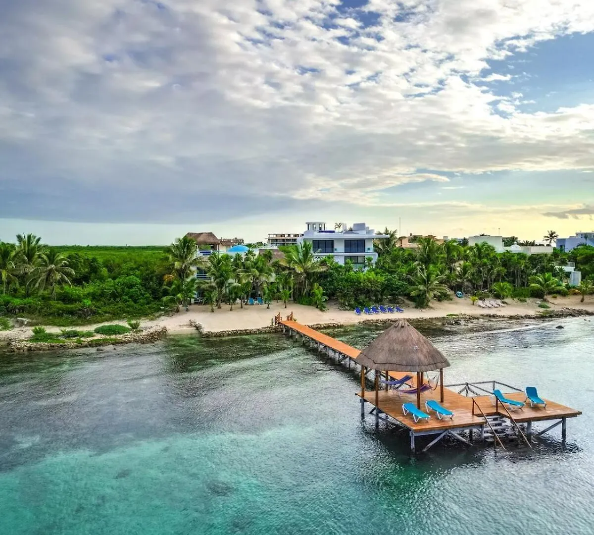 Gorgeous Oceanfront Villa With Private Pool And Dock Tulum